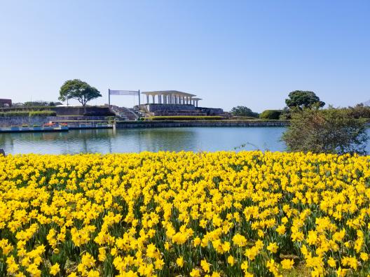 【海の中道海浜公園】早春ハッピーフェスタ2026-1