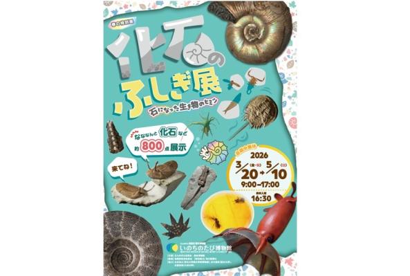 【いのちのたび博物館】春の特別展「化石のふしぎ展 石になった生き物のヒミツ」-0