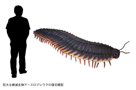 【いのちのたび博物館】春の特別展「化石のふしぎ展 石になった生き物のヒミツ」-2