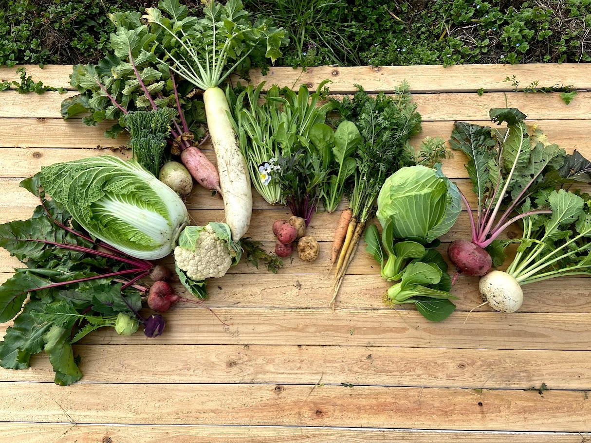 FARMERS Kitchen VegeBAR-7