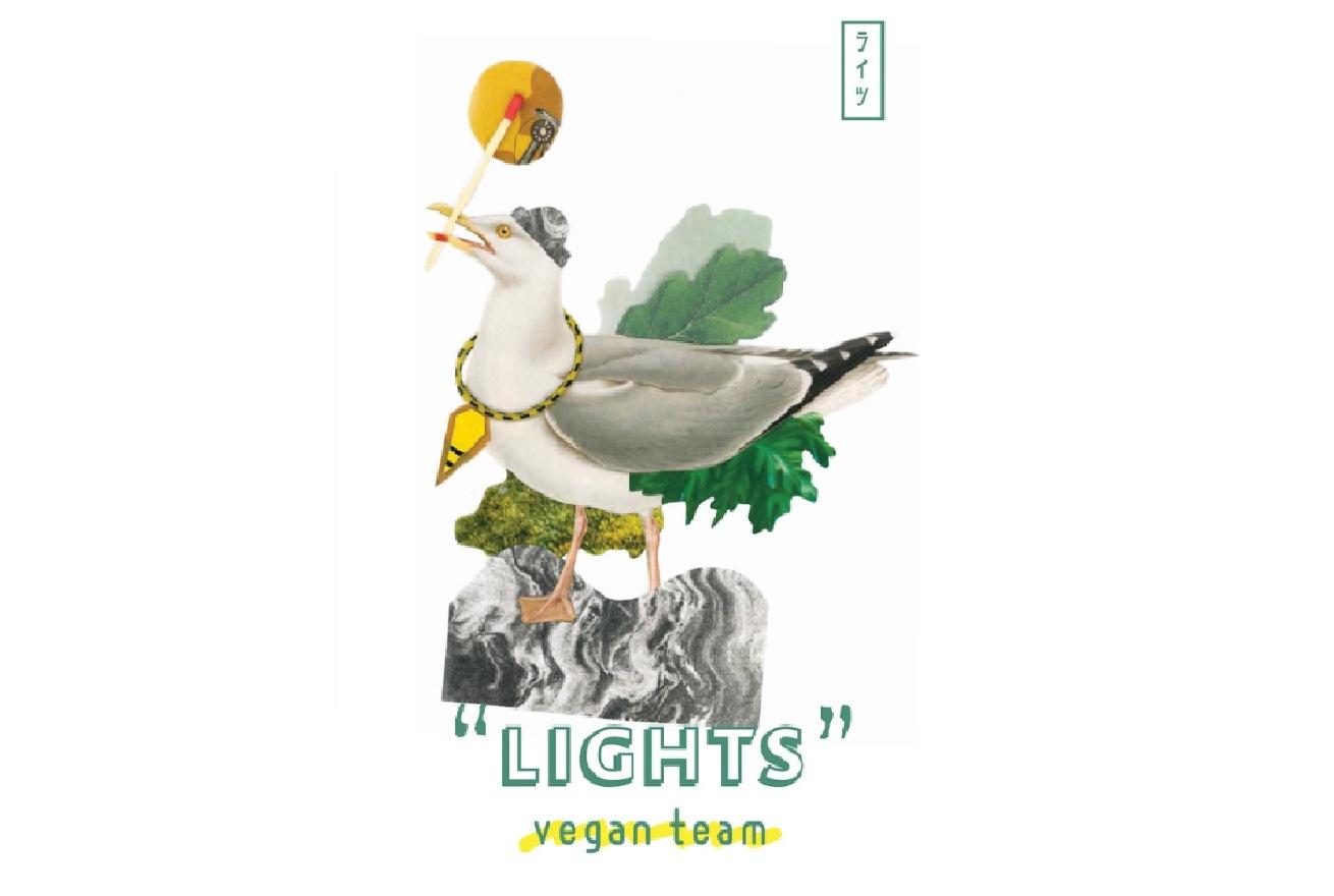 LIGHTS vegan team-4