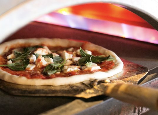 Mojiko Italian BONGO-0