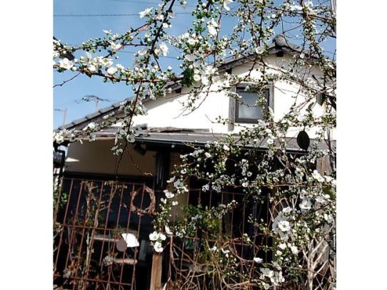 Gallery Cafe Viridian-1