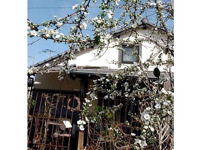 Gallery Cafe Viridian-1