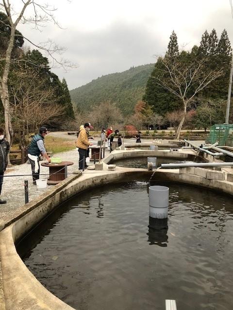 篠崎川魚店 釣り堀-1