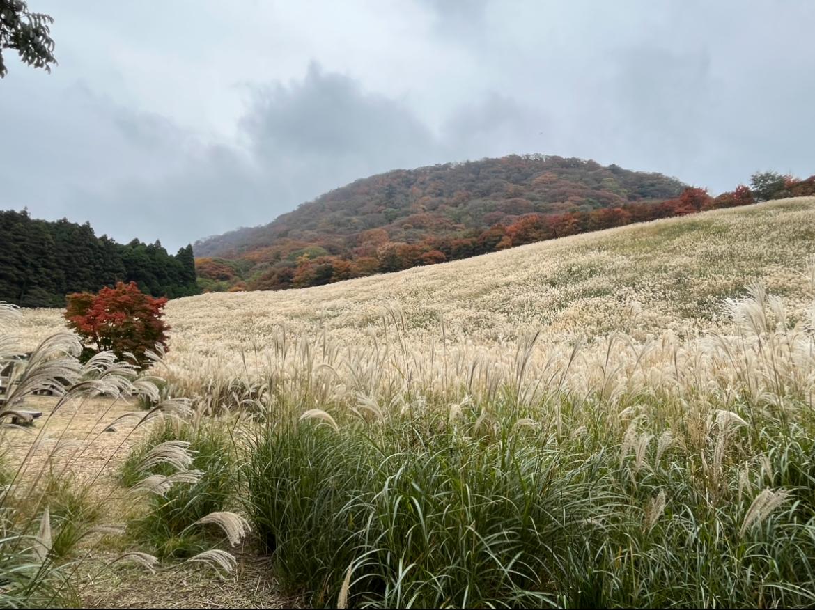 鷹巣原高原