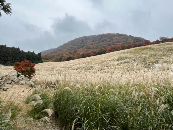 鷹巣原高原-0