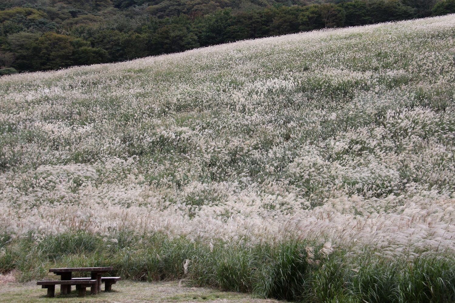 鷹巣原高原-1