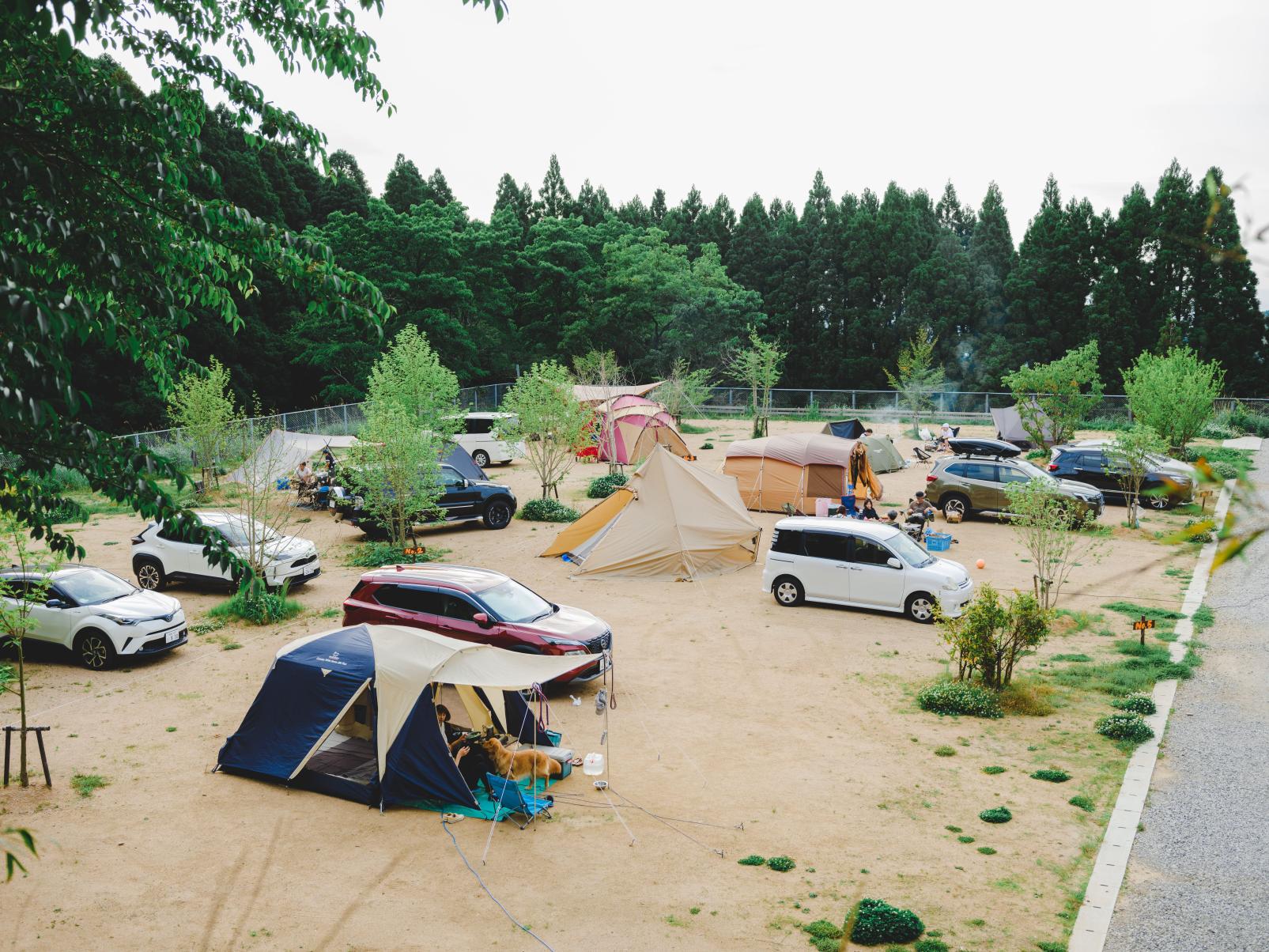 HIKOSAN GARDEN CAMP-2