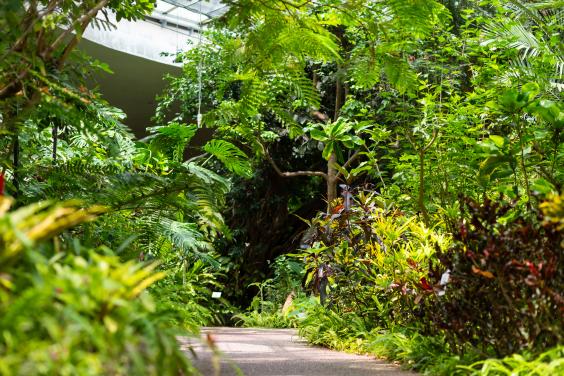 ぐりんぐりん-2