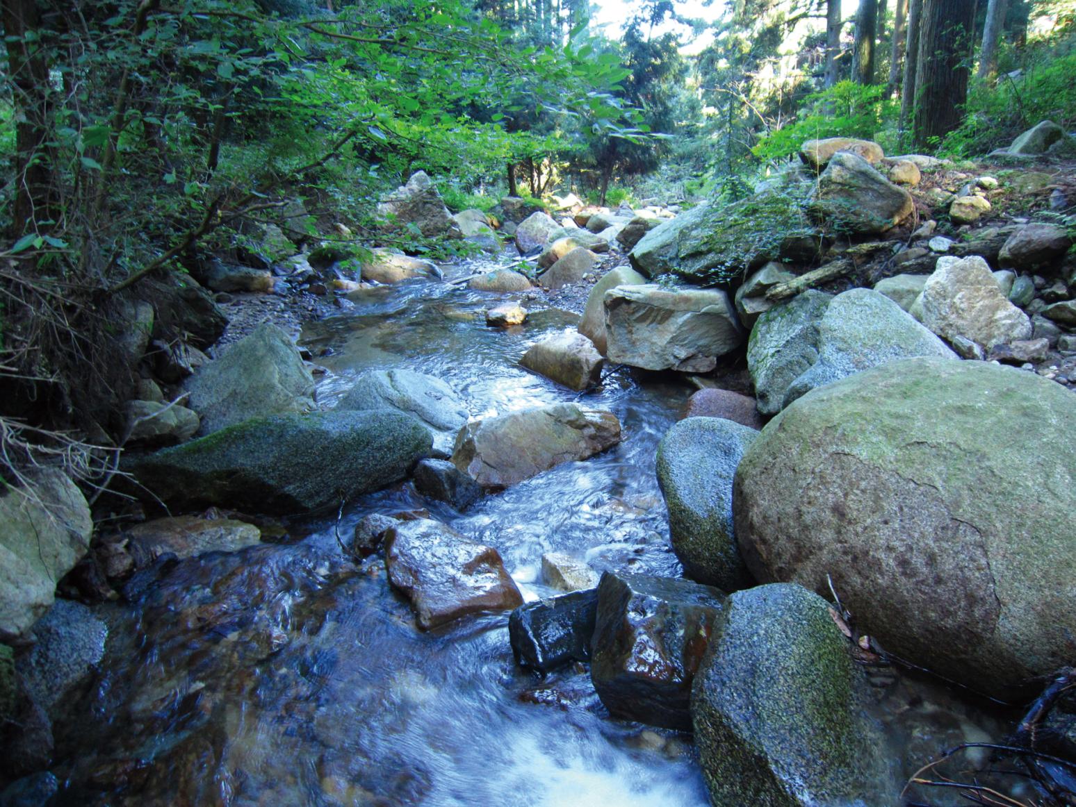 【古処山キャンプ村】新テントサイト無料試泊会-3