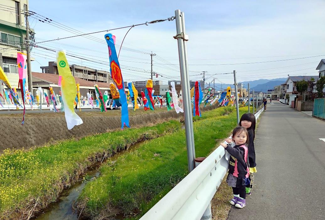 十郎川鯉のぼり掲揚-6