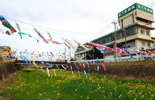 十郎川鯉のぼり掲揚-5