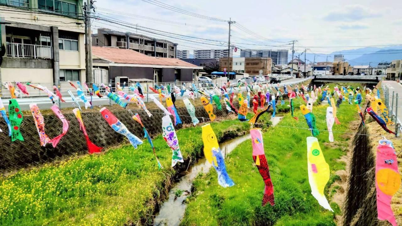 十郎川鯉のぼり掲揚-4