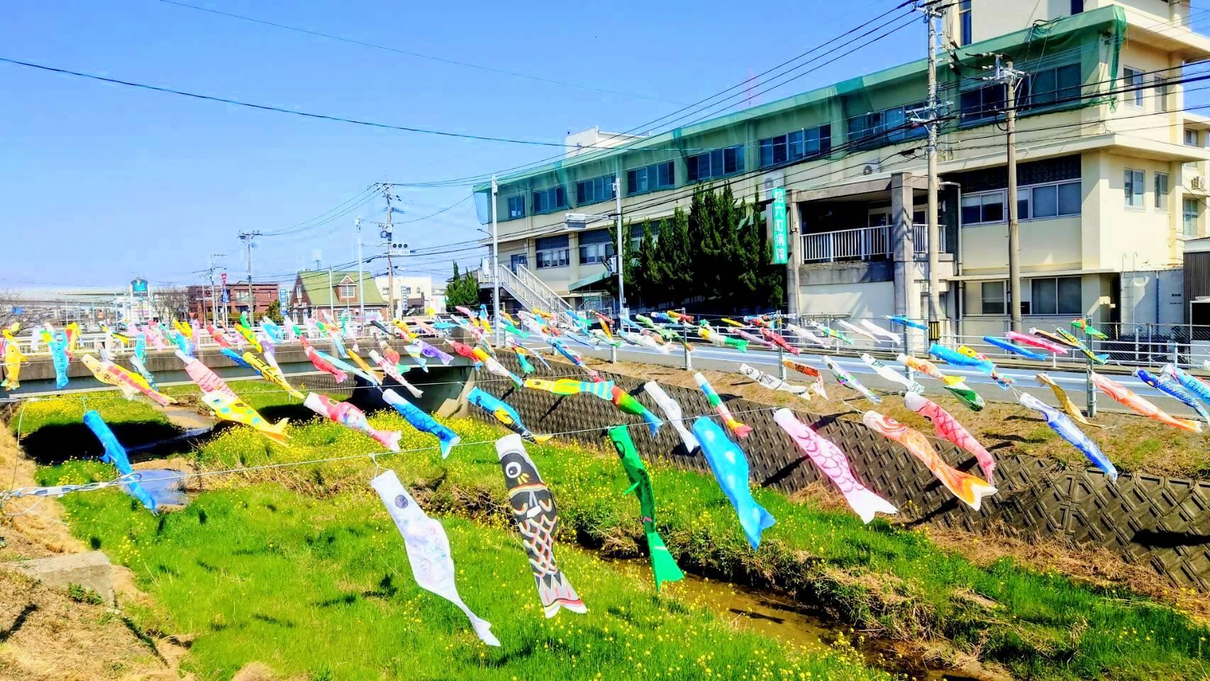 十郎川鯉のぼり掲揚