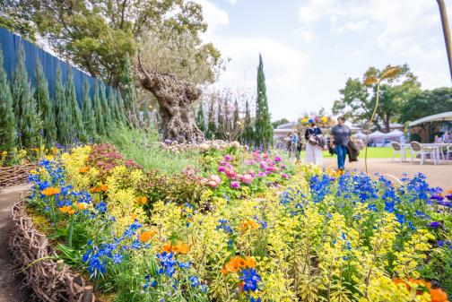 Fukuoka Flower Show 2026-1