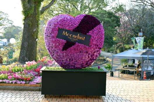 Fukuoka Flower Show 2026-1