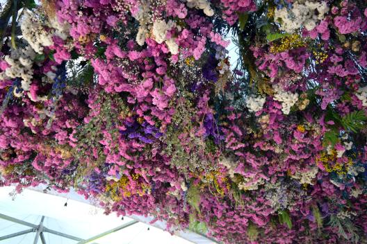 Fukuoka Flower Show 2026-4