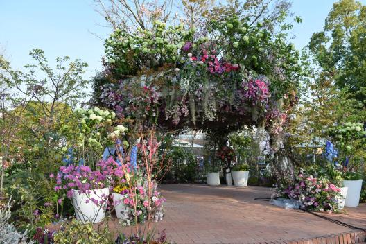 Fukuoka Flower Show 2026-5