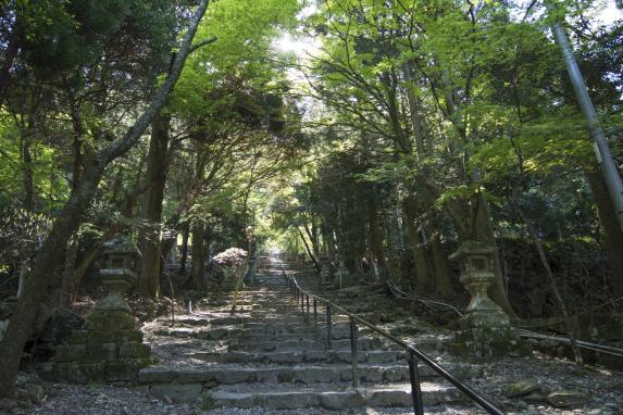 【参加者募集】英彦山参道駆け上がり大会-1