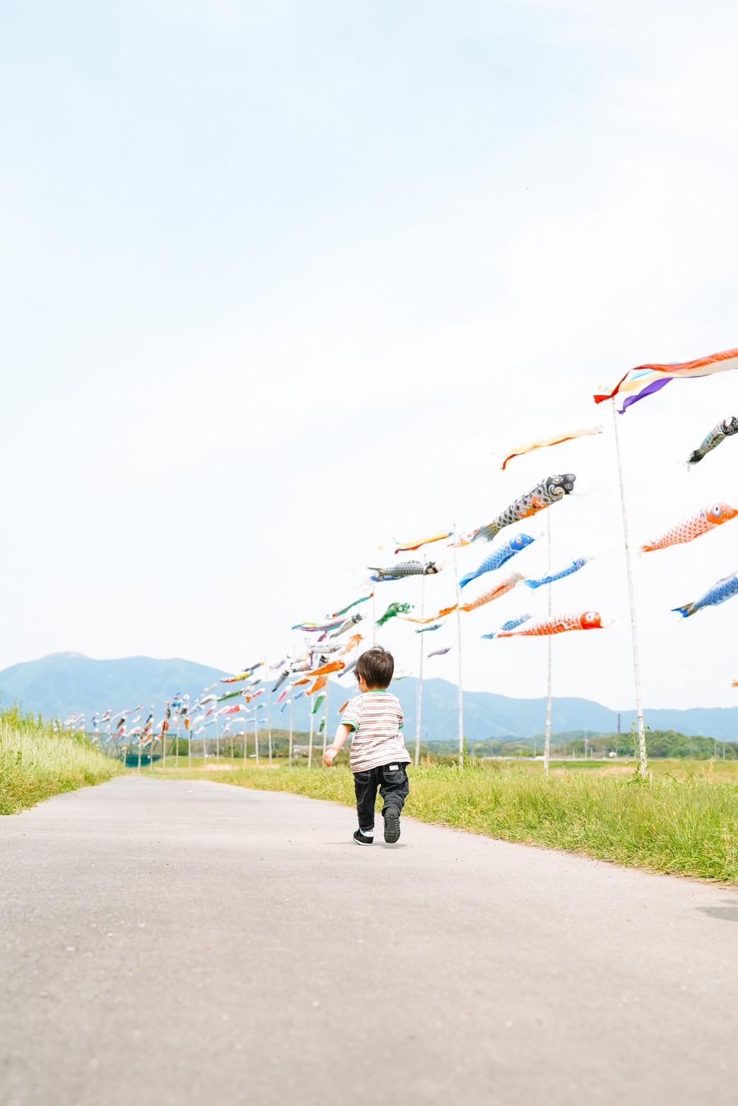 遠賀川「光の鯉のぼり」ライトアップ・ナイト-3