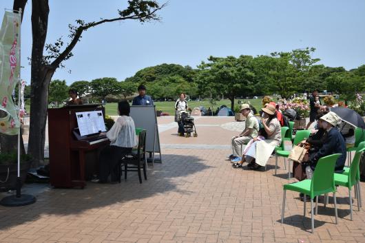 【北九州市立響灘緑地グリーンパーク】春のバラフェア2026 ストリートピアノライブ-3