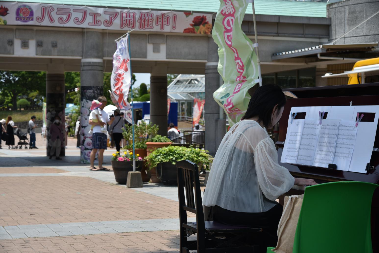 【北九州市立響灘緑地グリーンパーク】春のバラフェア2026 ストリートピアノライブ-4