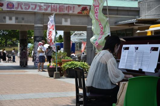 【北九州市立響灘緑地グリーンパーク】春のバラフェア2026 ストリートピアノライブ-4
