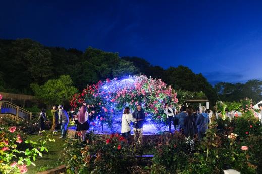 【北九州市立響灘緑地グリーンパーク】Night Rose Garden-3
