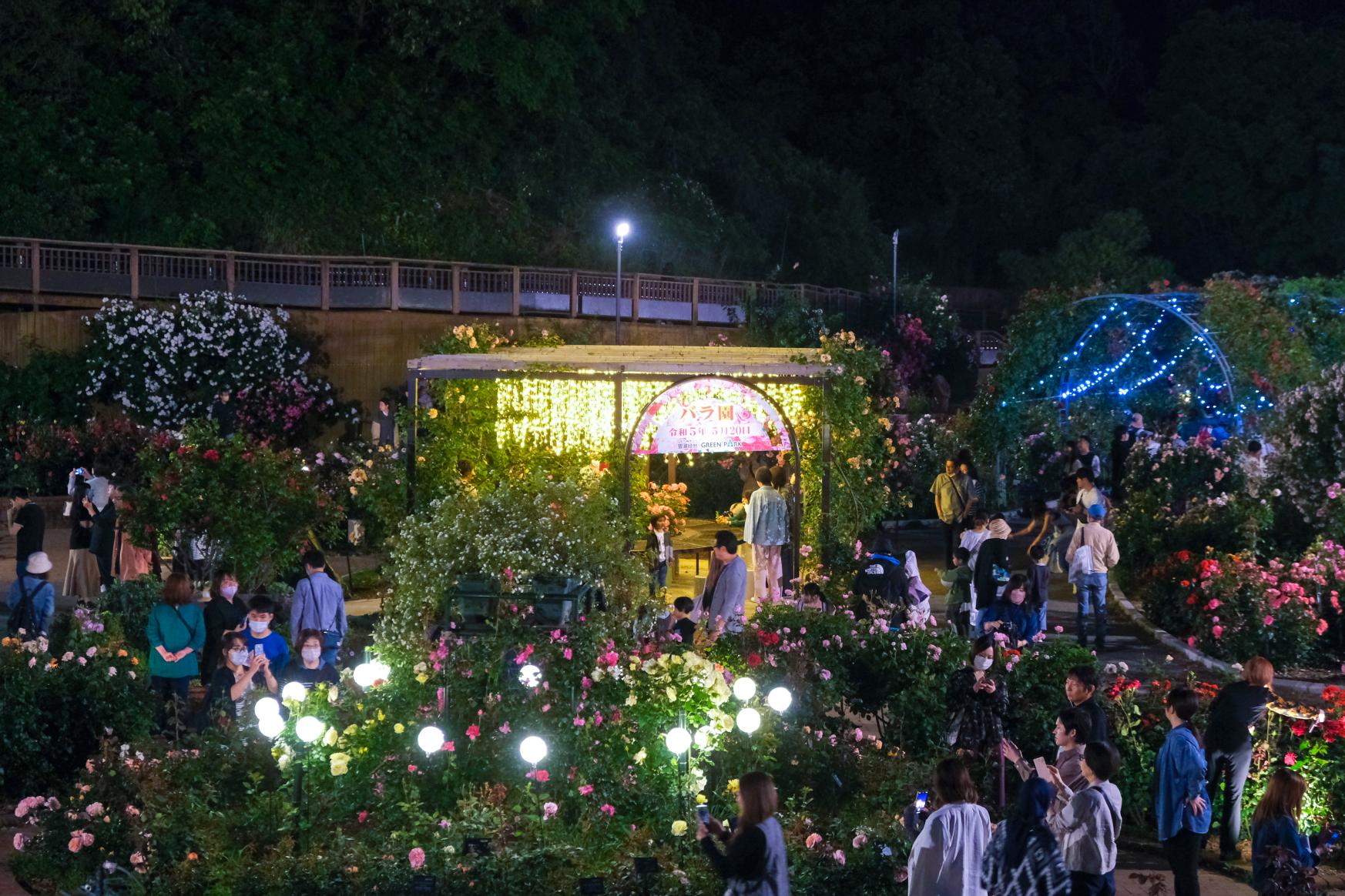 【北九州市立響灘緑地グリーンパーク】Night Rose Garden-1