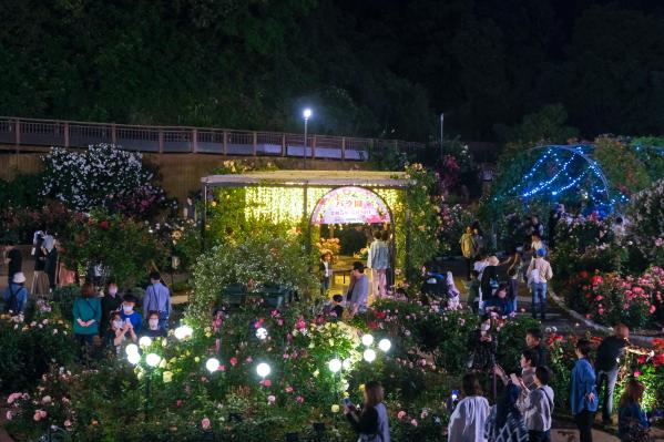【北九州市立響灘緑地グリーンパーク】Night Rose Garden-1