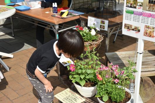 【北九州市立響灘緑地グリーンパーク】花と緑のワークショップ-4