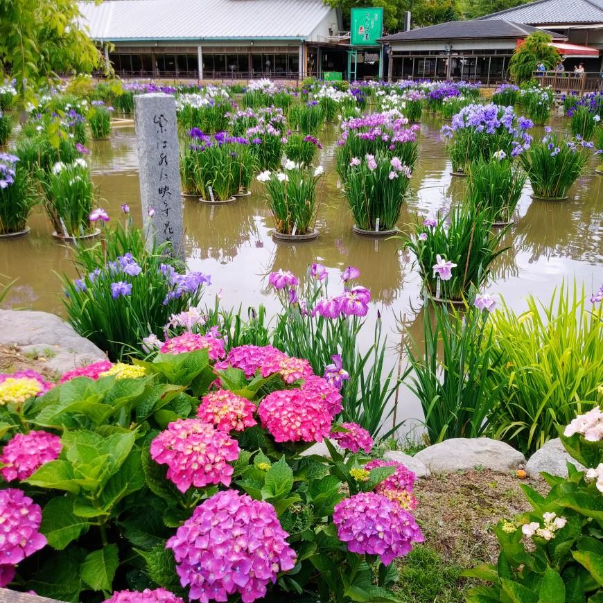 写真：（一社）太宰府観光協会