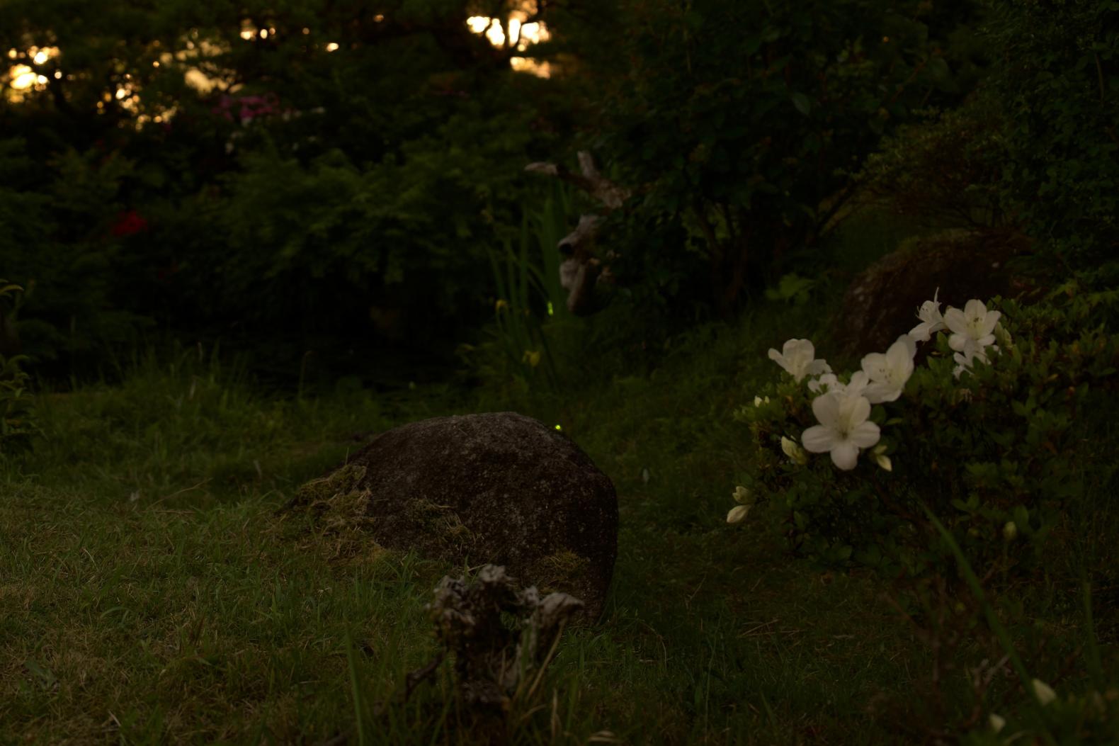 大丸別荘　初夏の夕涼み-2