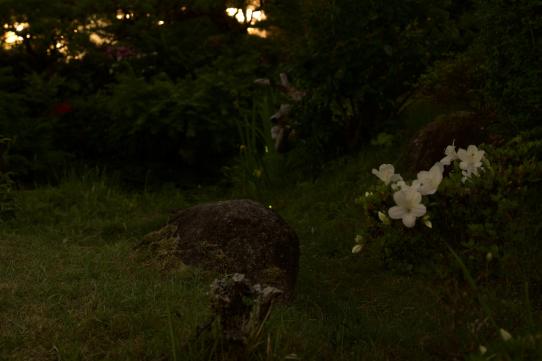 大丸別荘　初夏の夕涼み-2
