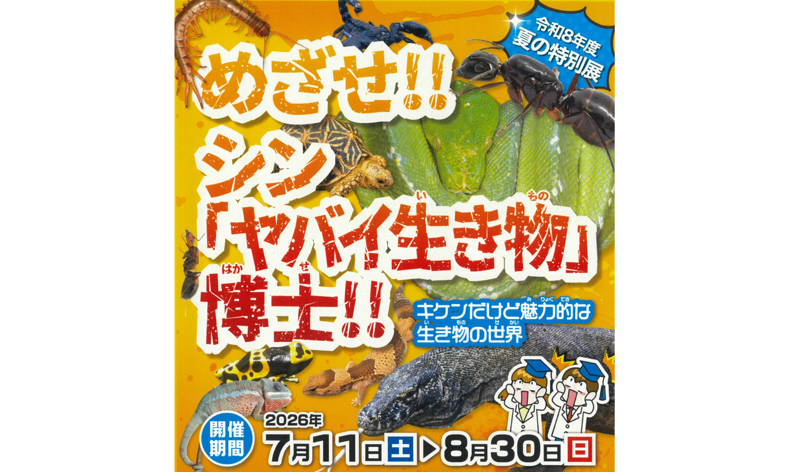 夏の特別展　めざせ!!シン「ヤバイ生き物」博士!!-1