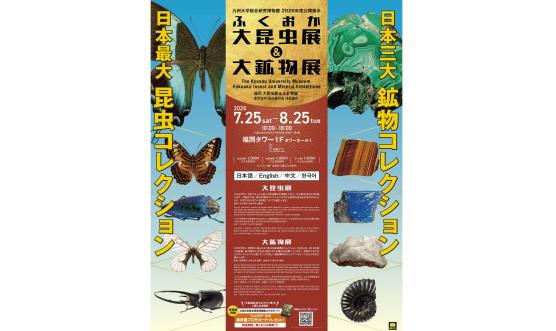 ふくおか大昆虫展＆大鉱物展-0