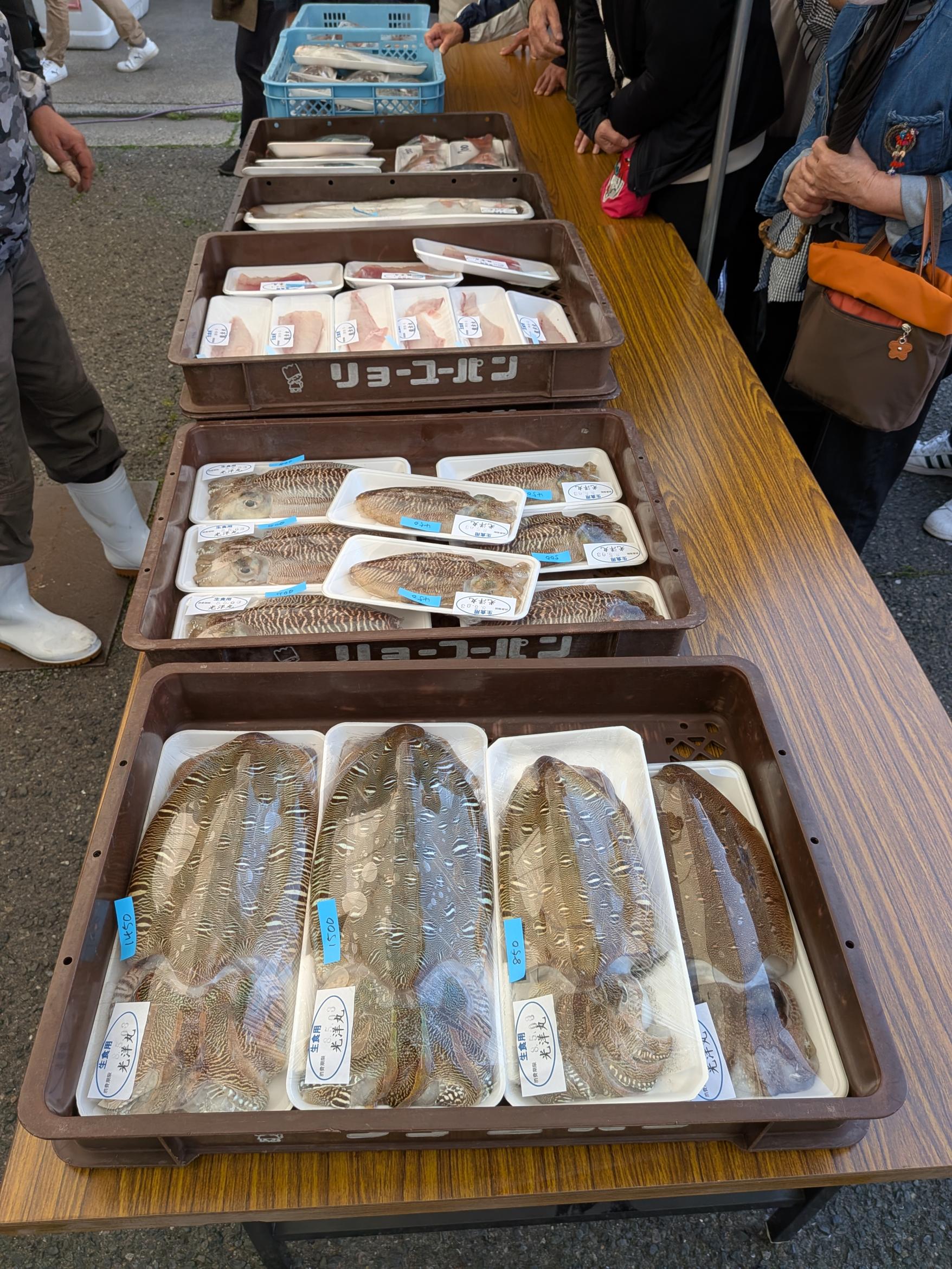 若松北海岸 脇田おさかなフェスタ-1