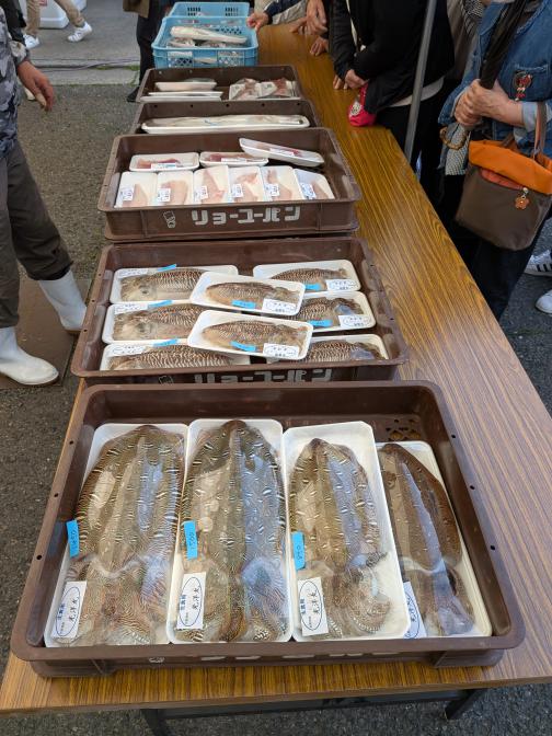 若松北海岸 脇田おさかなフェスタ-1