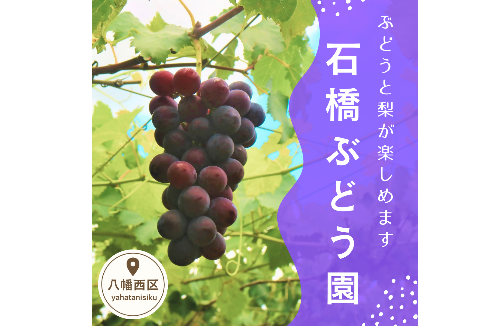 石橋ぶどう園