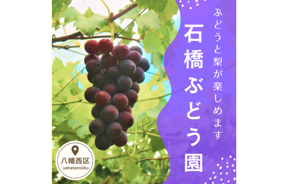 石橋ぶどう園-0