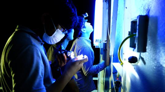 英彦山ドキュメンタリー映画上映会「九州大学彦山生物学実験施設」-2