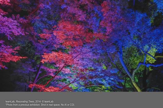 チームラボ 福岡城跡 光ノ祭 2026-2027-7