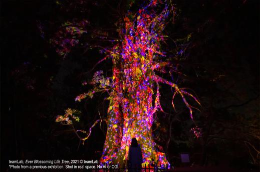 チームラボ 福岡城跡 光ノ祭 2026-2027-2