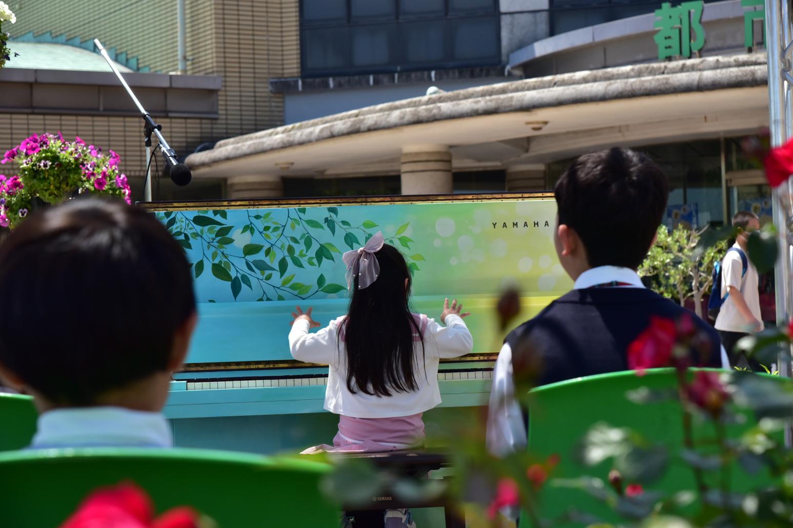 【北九州市立響灘緑地グリーンパーク】秋のバラフェア2026 ストリートピアノライブ-1