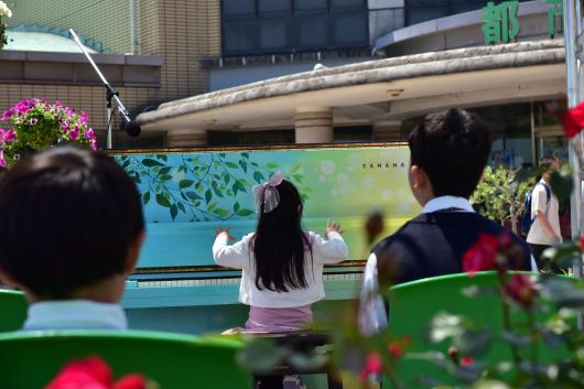 【北九州市立響灘緑地グリーンパーク】秋のバラフェア2026 ストリートピアノライブ-1