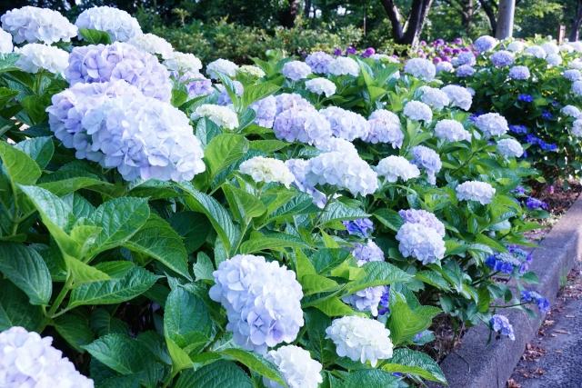 日本通信教育連盟 名所 名勝 旅行 観光 趣味 | yucca.com.mx