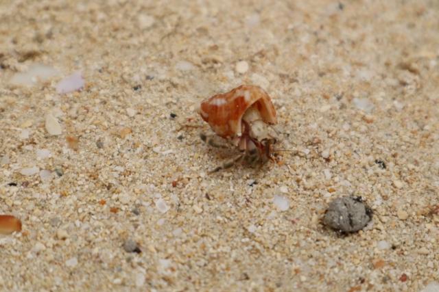 Swimming beaches and waterholes-2