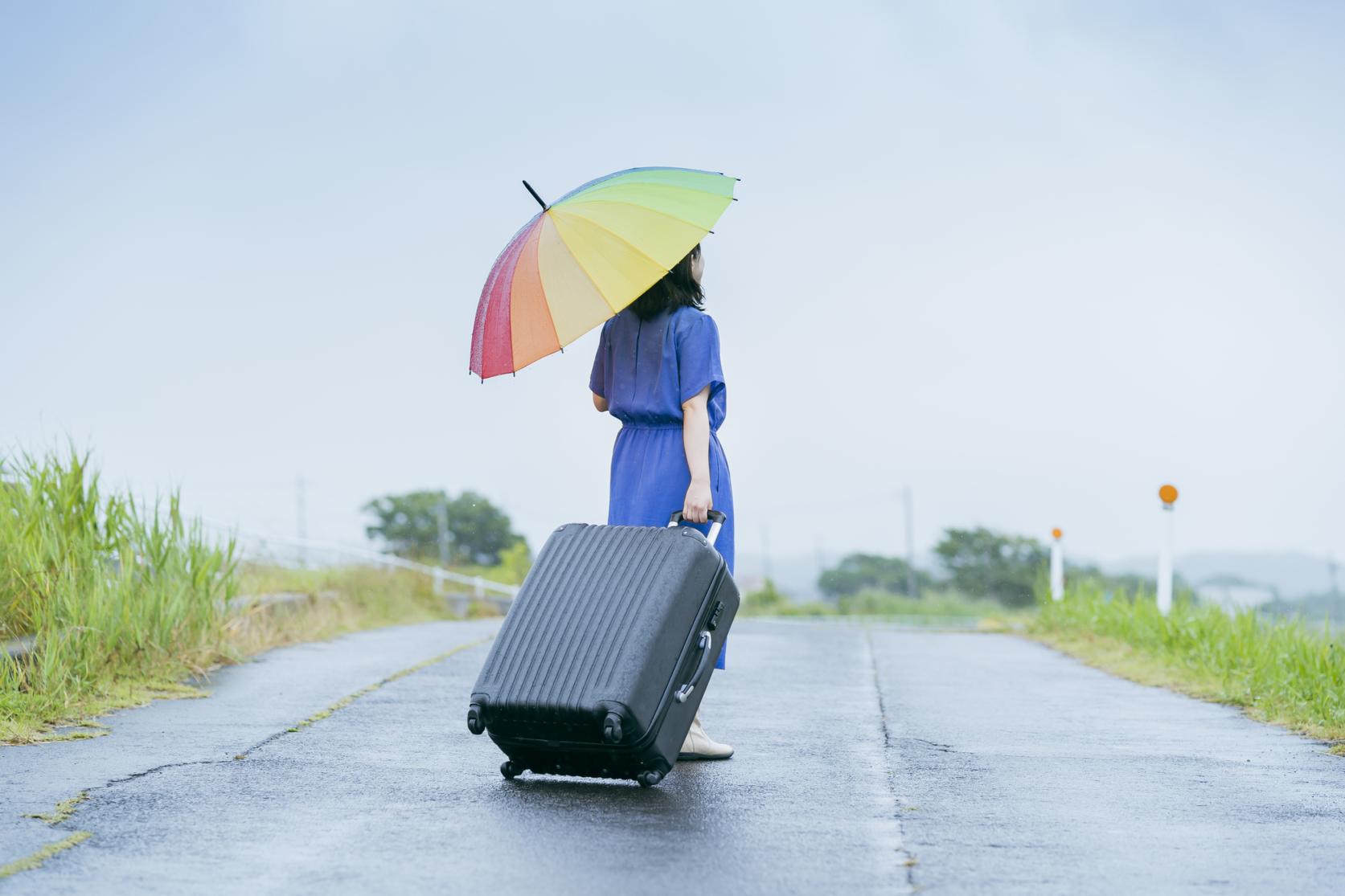 雨でも楽しめる