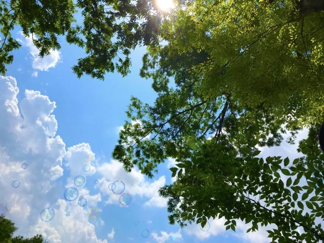 海水浴場、玩水景點-5